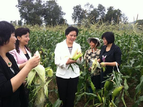 市妇联领导深入田间地头考察农村妇女创业发展资金扶持成果